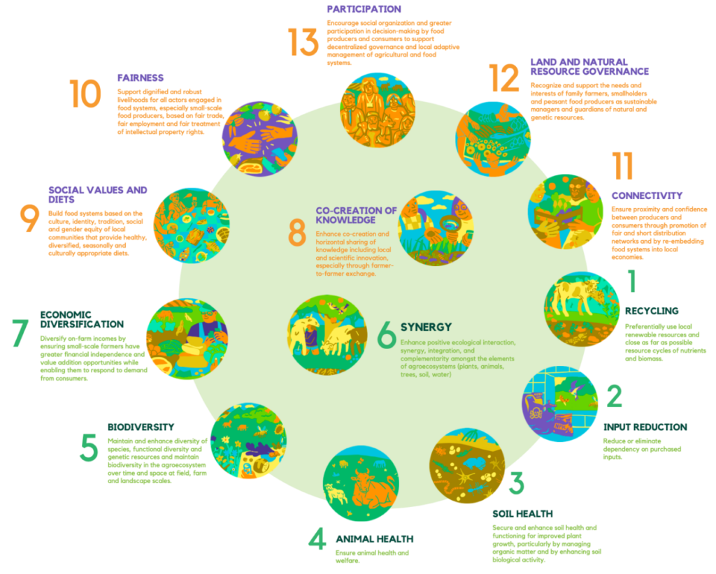 Mainstreaming Millets in G20 Countries Through Integrated Behavioural ...